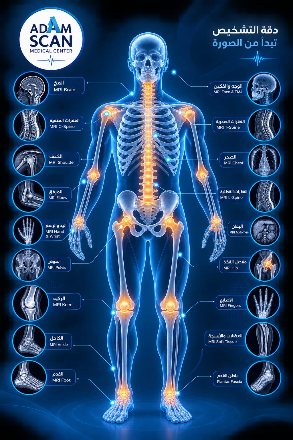 Human Full Body X-Ray